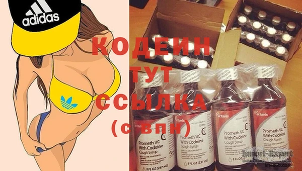 бошки Кодинск