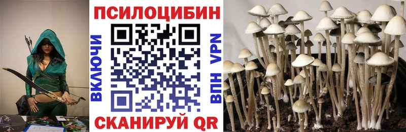 Купить закладки  Бийск  Галлюциногенные грибы мухоморы 