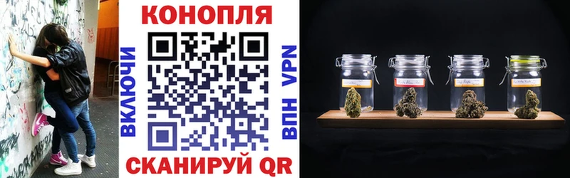 Конопля марихуана Бийск